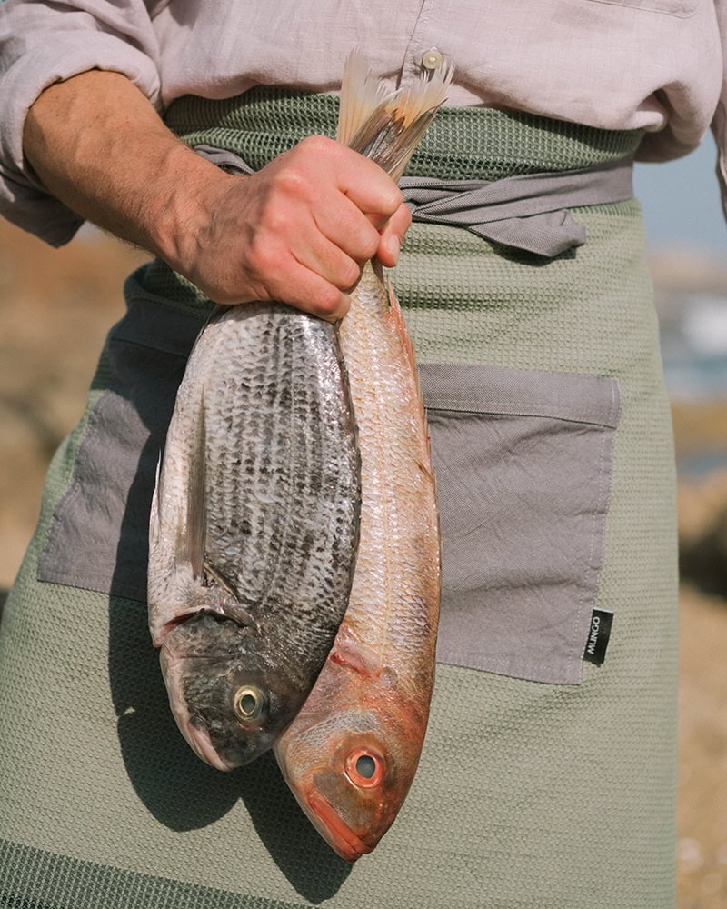 Mungo Grill Apron - Kelp